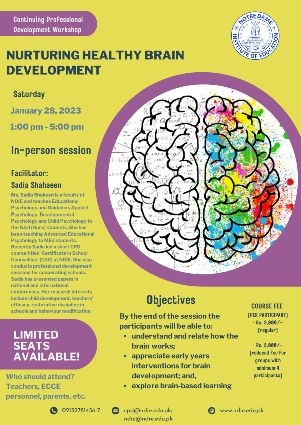 Nurturing Healthy Brain Development – Notre Dame Institute of Education